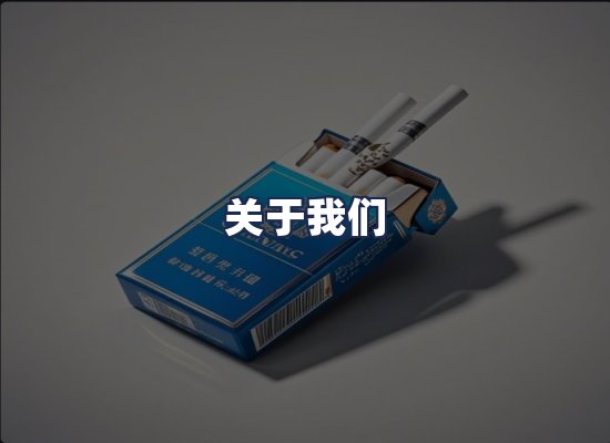 关于我们